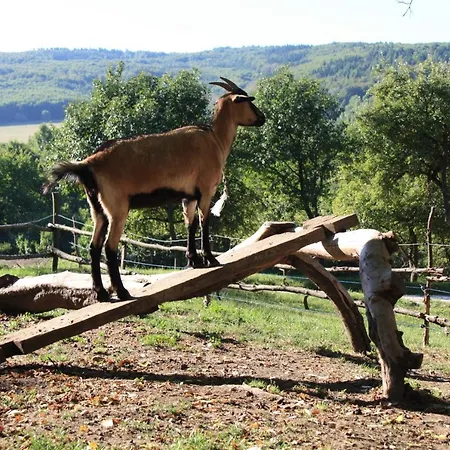 Кемпинг Modra Farma Pliesovce