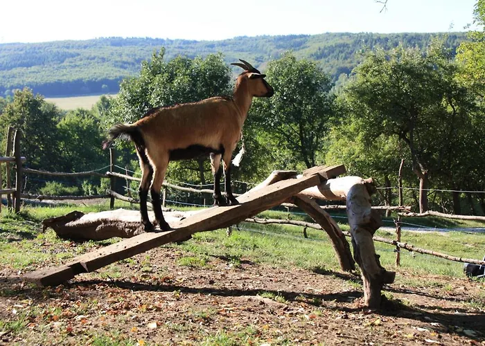 Campingplatz Modra Farma Pliešovce